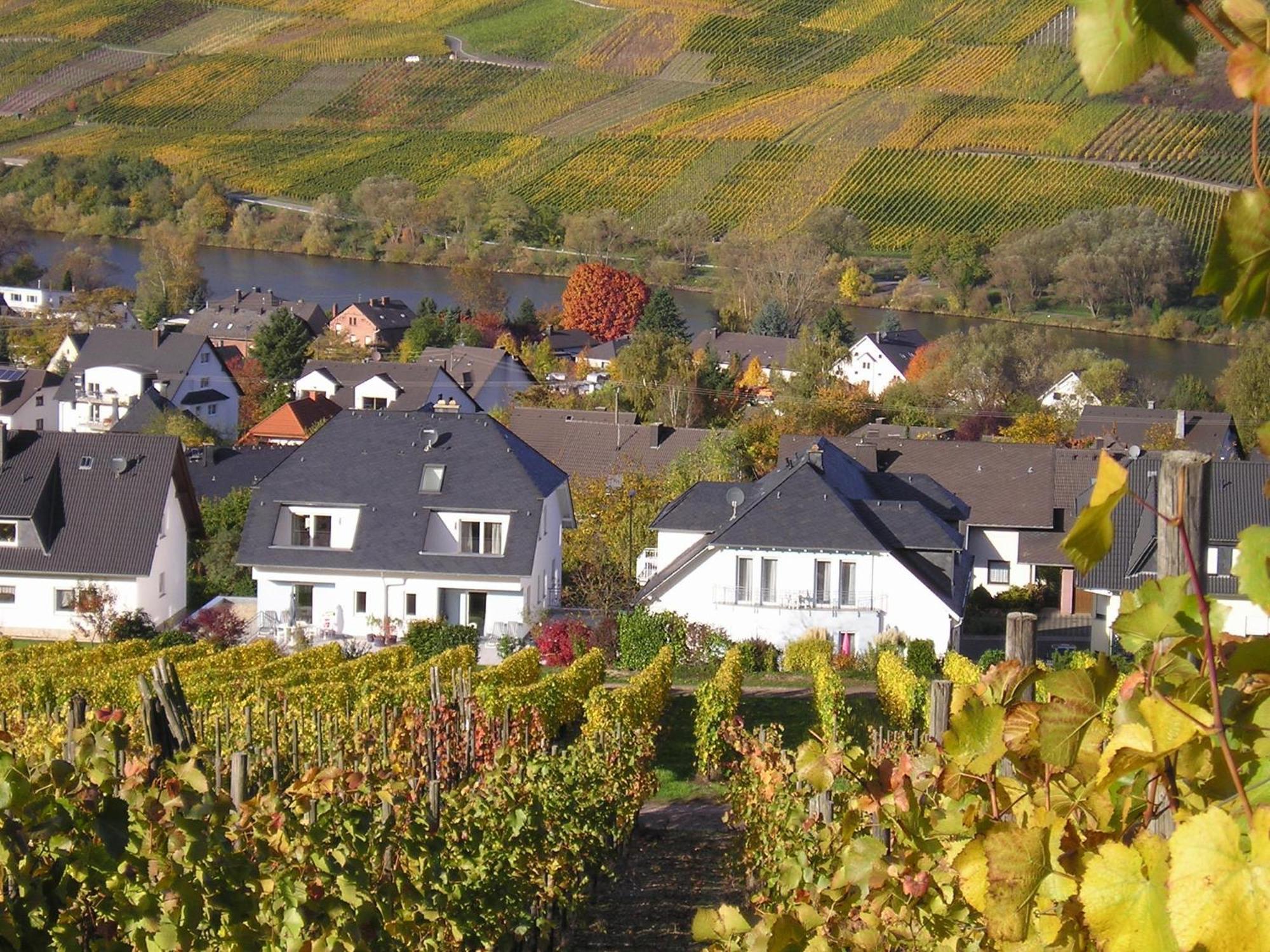 Roussel - Hotel Restaurant Bernkastel-Kues Zewnętrze zdjęcie